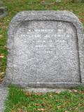 image of grave number 204035